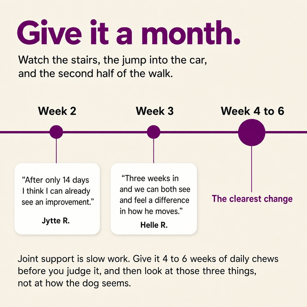 Give it a month: what owners reported at week 2 and week 3, with the clearest change around week 4 to 6.