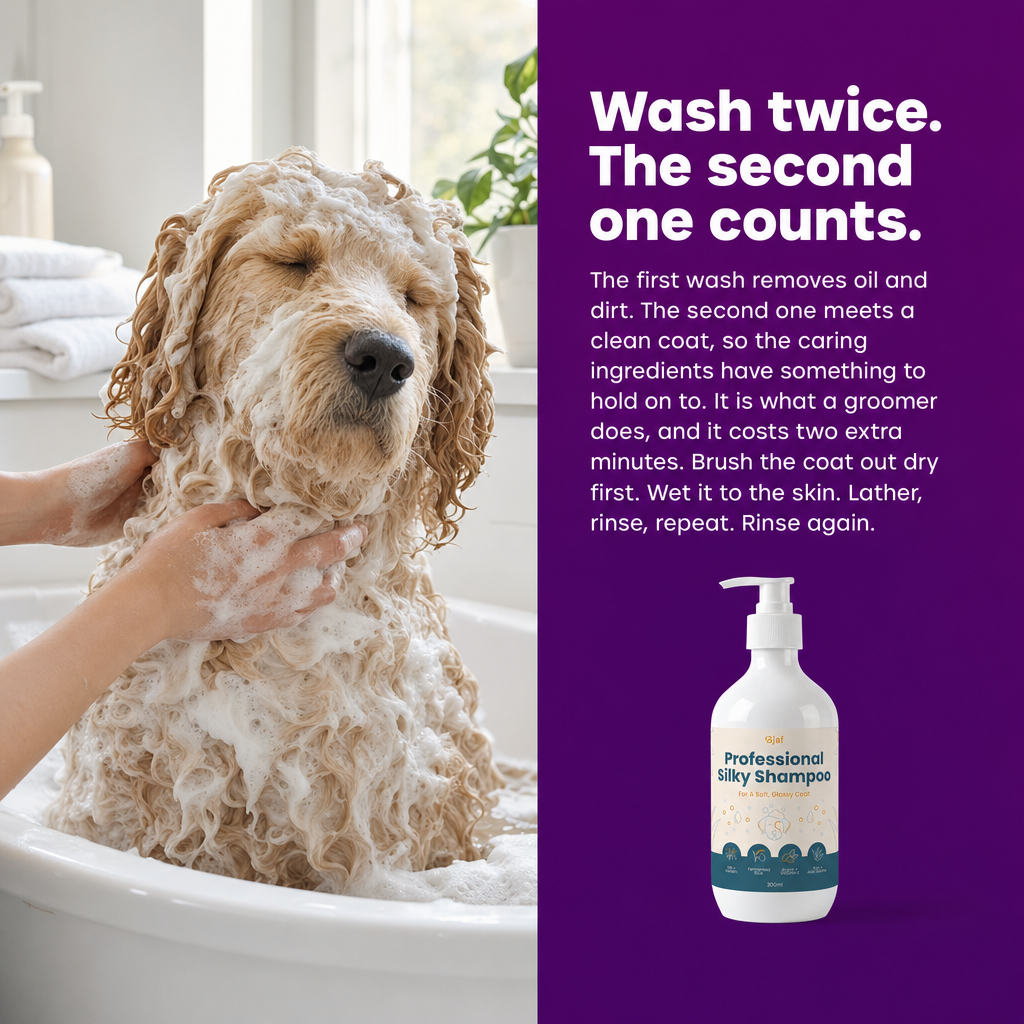 Wash twice, the second one counts. How to bath your dog with Bjaf Silky Shampoo.