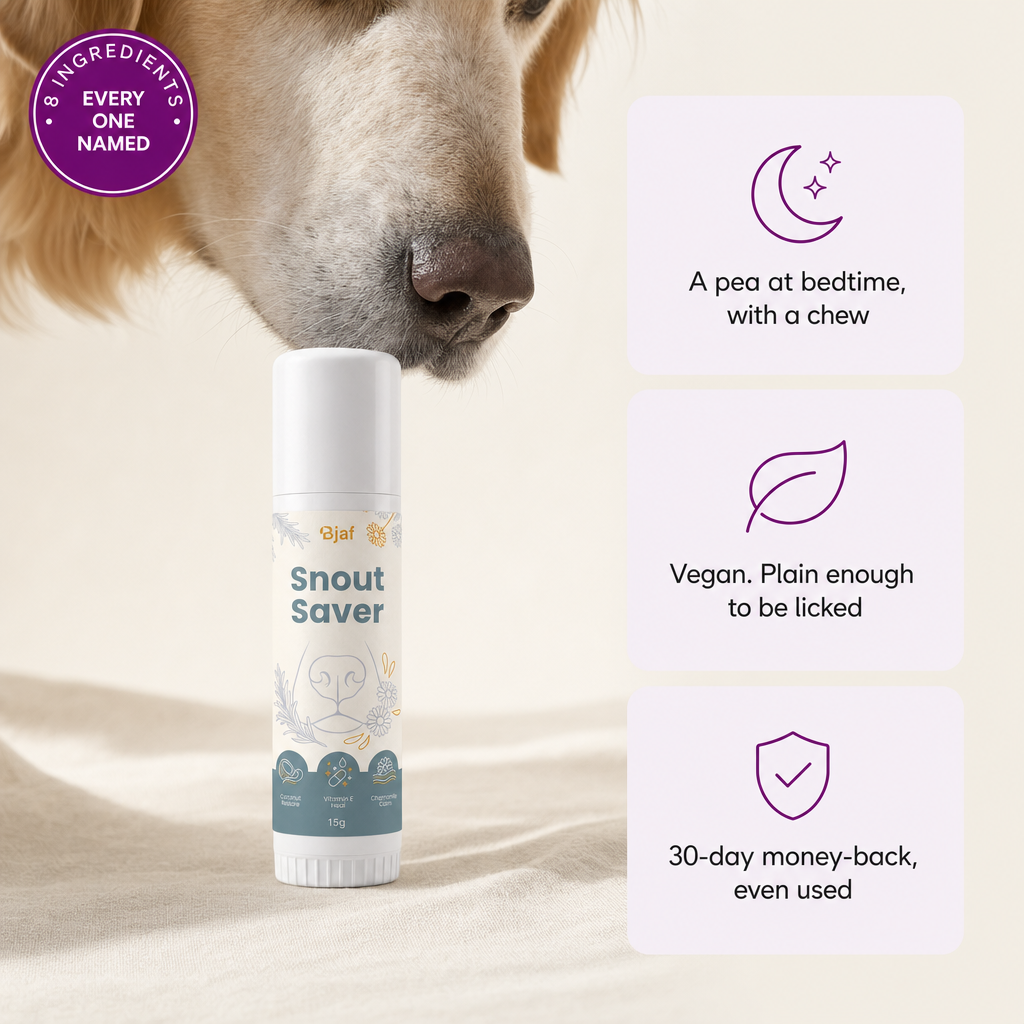 Bjaf Snout Saver balm stick, 8 ingredients every one named. A pea at bedtime with a chew, vegan, 30-day money-back even used.
