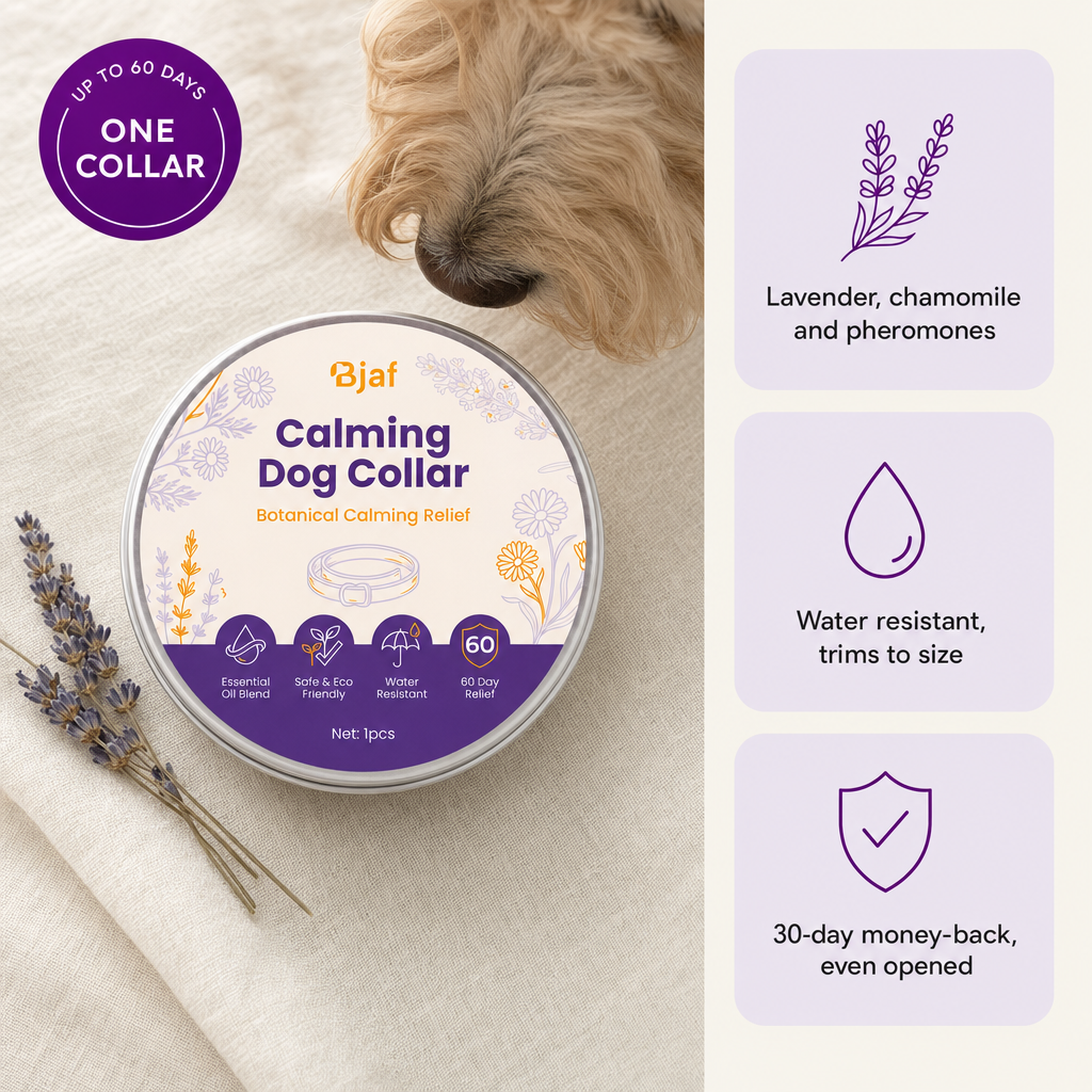 Bjaf Natural Calming Collar tin. Up to 60 days from one collar. Lavender, chamomile and pheromones, water resistant, 30-day money-back even opened.