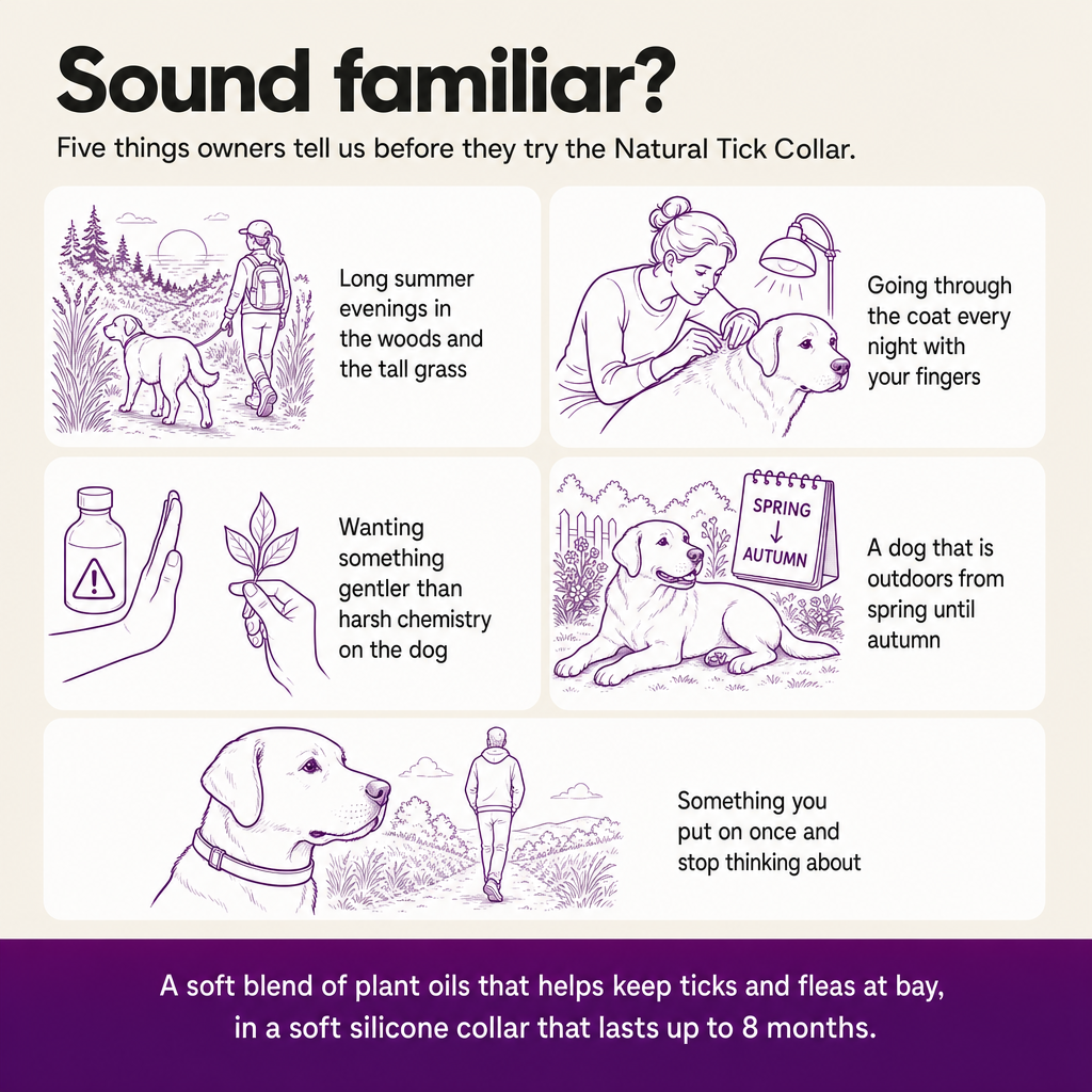 Sound familiar? Five things owners describe before trying the Natural Tick Collar: woods and tall grass, checking the coat every night, wanting something gentler, a dog outdoors all season, something you put on once.