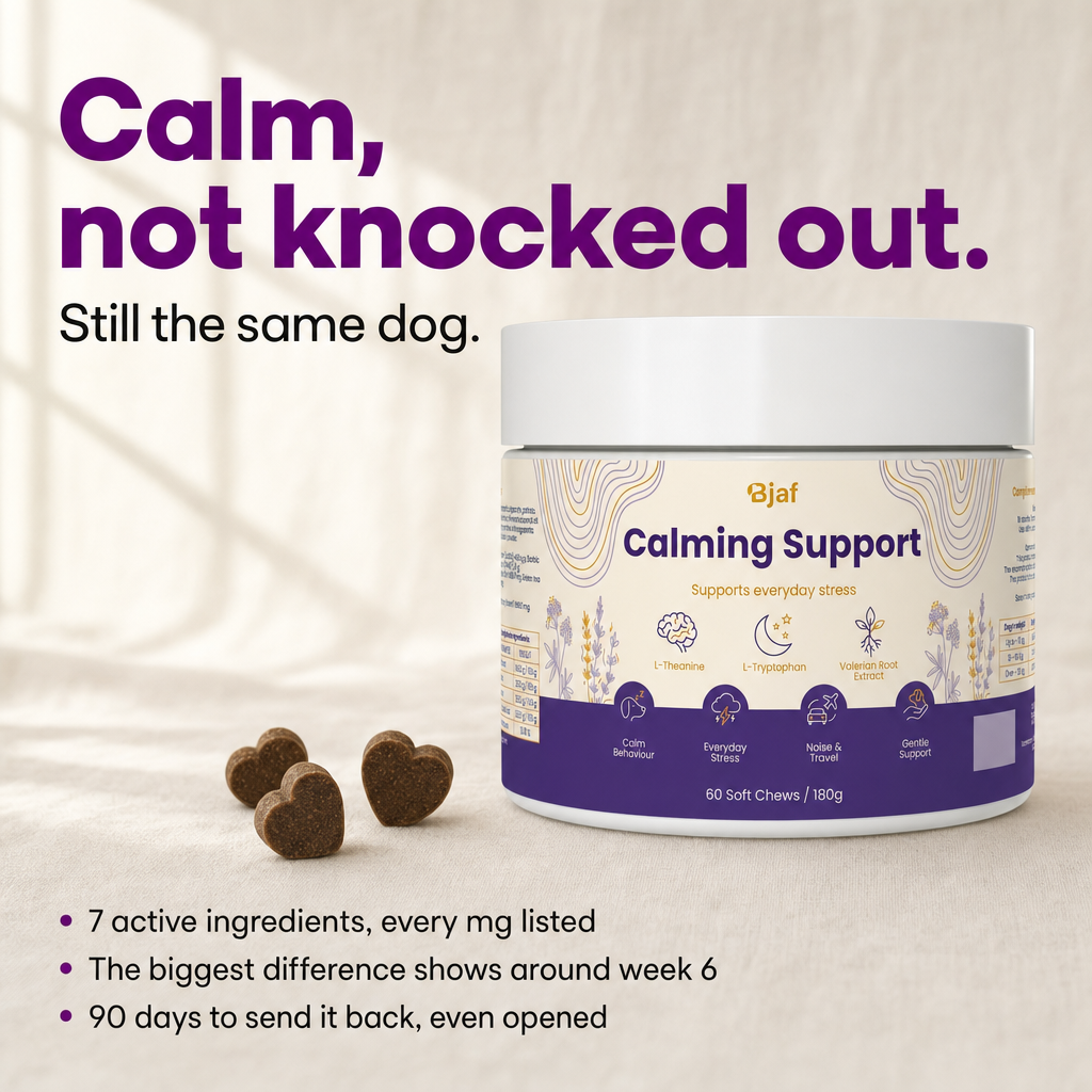 Bjaf Calming Support jar with heart-shaped soft chews. Calm, not knocked out.