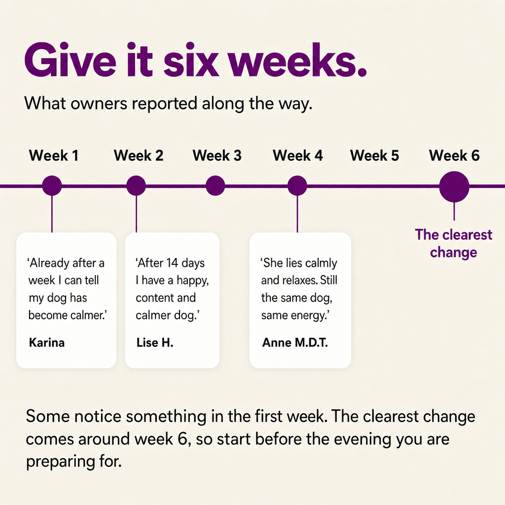 Give it six weeks: what owners reported from week 1 to week 6