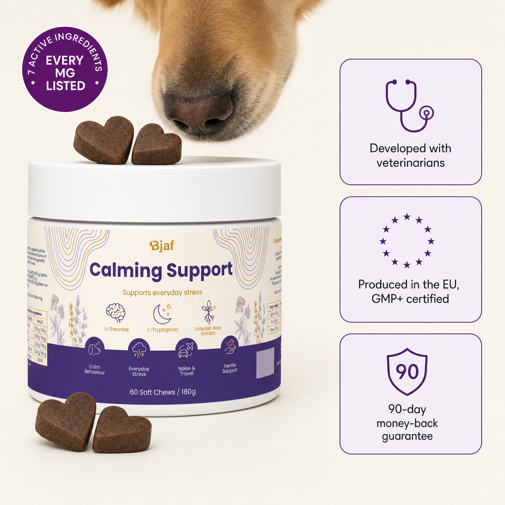Calming Support Chews