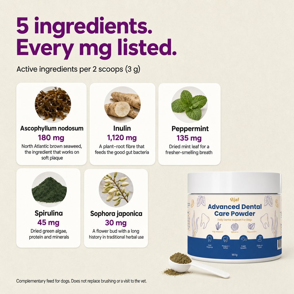 5 ingredients, every mg listed per 2 scoops: Ascophyllum nodosum 180 mg, Inulin 1,120 mg, Peppermint 135 mg, Spirulina 45 mg, Sophora japonica 30 mg.