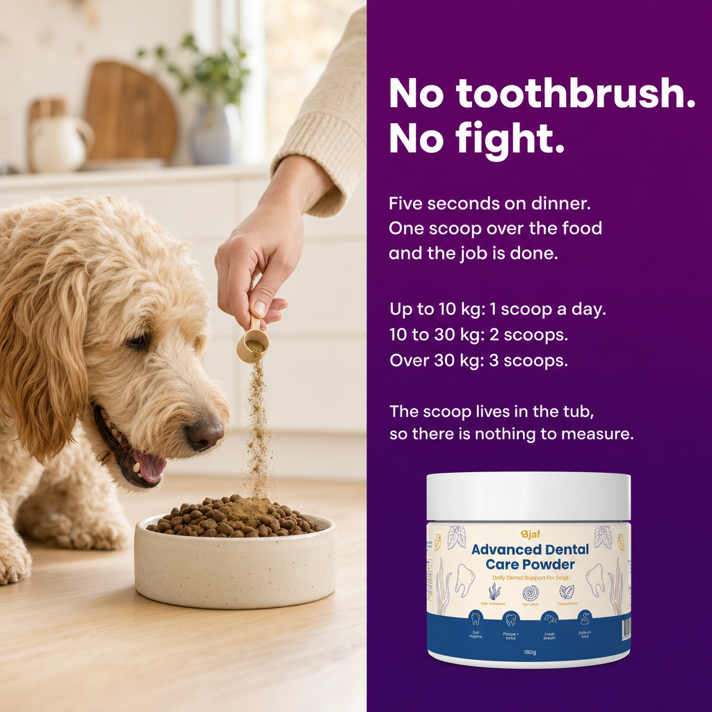 No toothbrush. No fight. Five seconds on dinner: one scoop over the food. Dosage by weight.