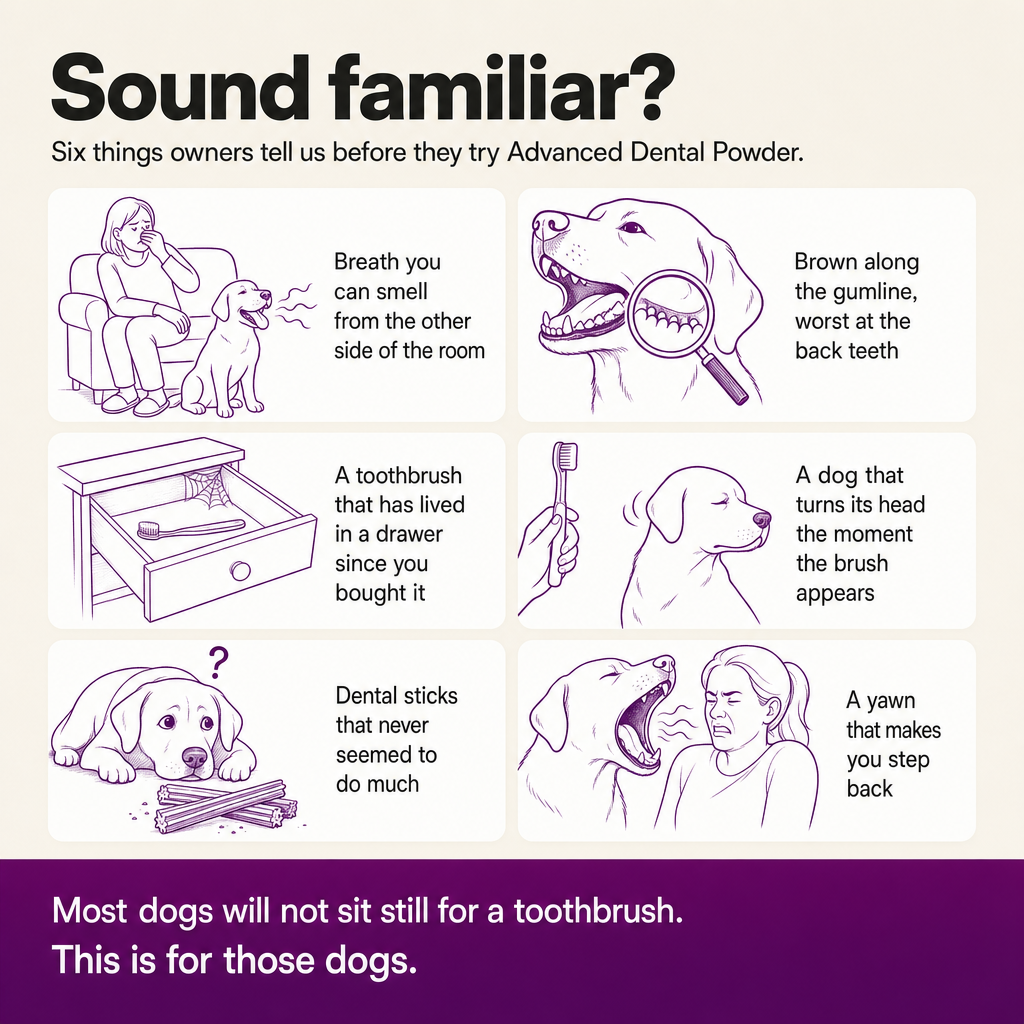 Sound familiar? Six signs owners describe before trying Advanced Dental Powder: bad breath, brown gumline, unused toothbrush, dog that turns its head, dental sticks that did little, a yawn that makes you step back.