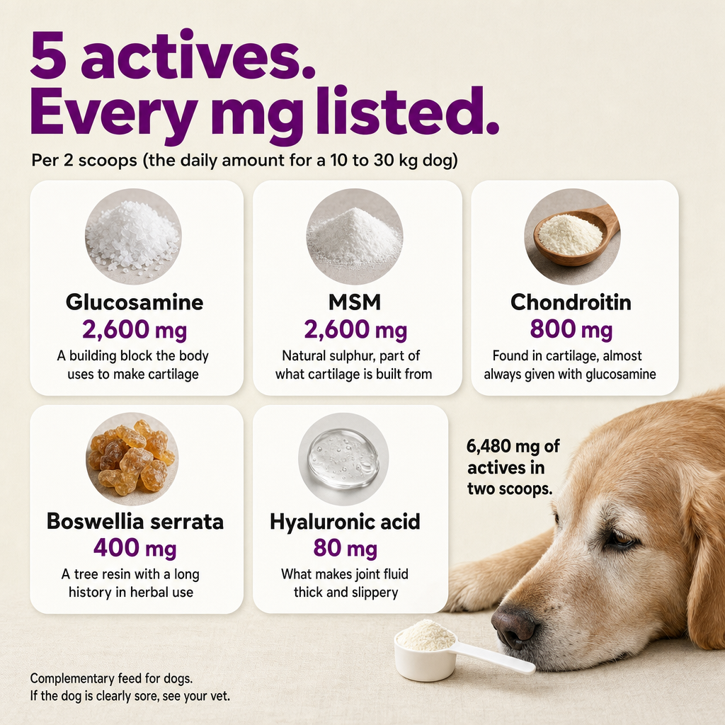 5 actives, every mg listed per 2 scoops: glucosamine 2,600 mg, MSM 2,600 mg, chondroitin 800 mg, Boswellia serrata 400 mg, hyaluronic acid 80 mg. 6,480 mg in two scoops.