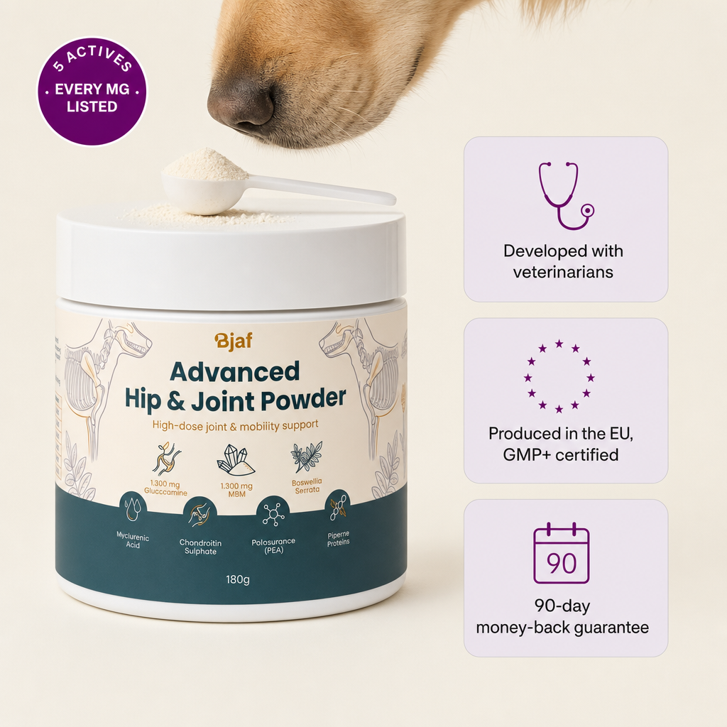 Bjaf Advanced Hip & Joint Powder tub with scoop. 5 actives, every mg listed. Developed with veterinarians, produced in the EU GMP+ certified, 90-day money-back guarantee.