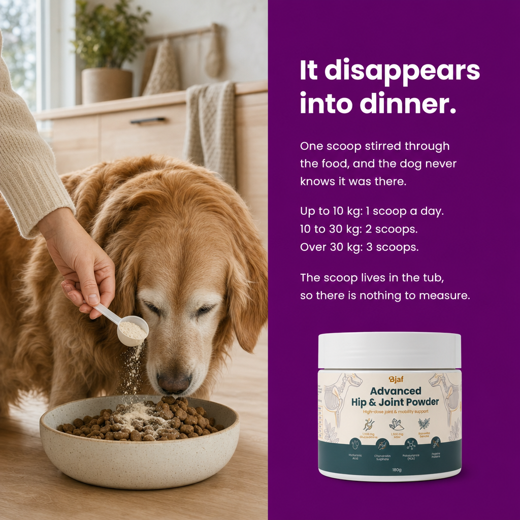 It disappears into dinner. One scoop stirred through the food. Dosage by weight: 1, 2 or 3 scoops a day.