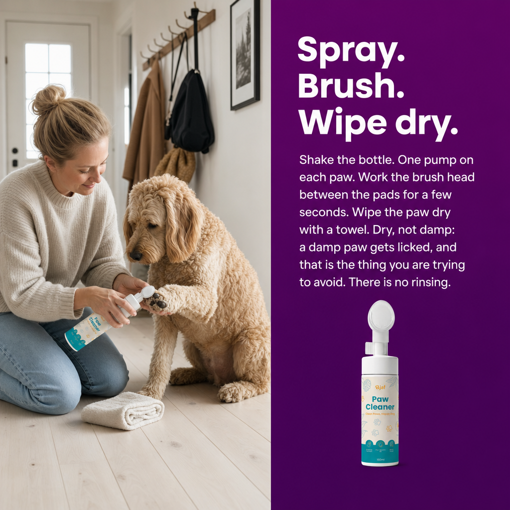 Spray, brush, wipe dry. How to use Bjaf Paw Cleaner at the door.