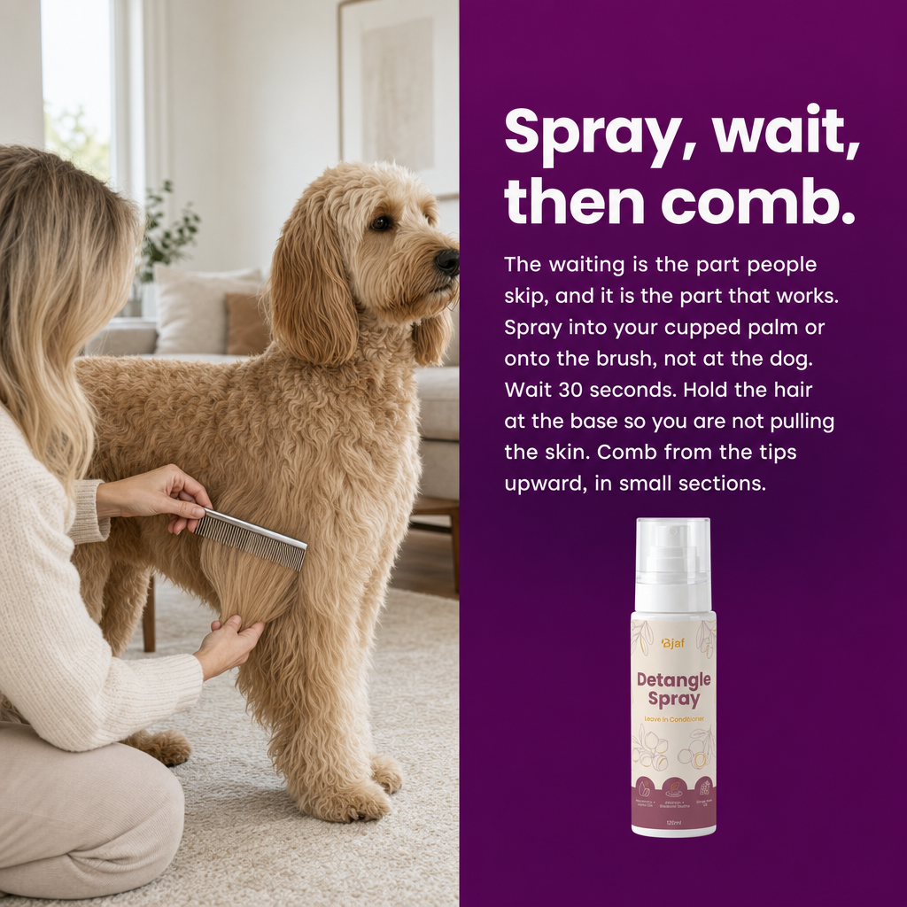 Spray, wait, then comb. How to use Bjaf Detangle Spray: into your palm, wait 30 seconds, hold the hair at the base, comb from the tips.