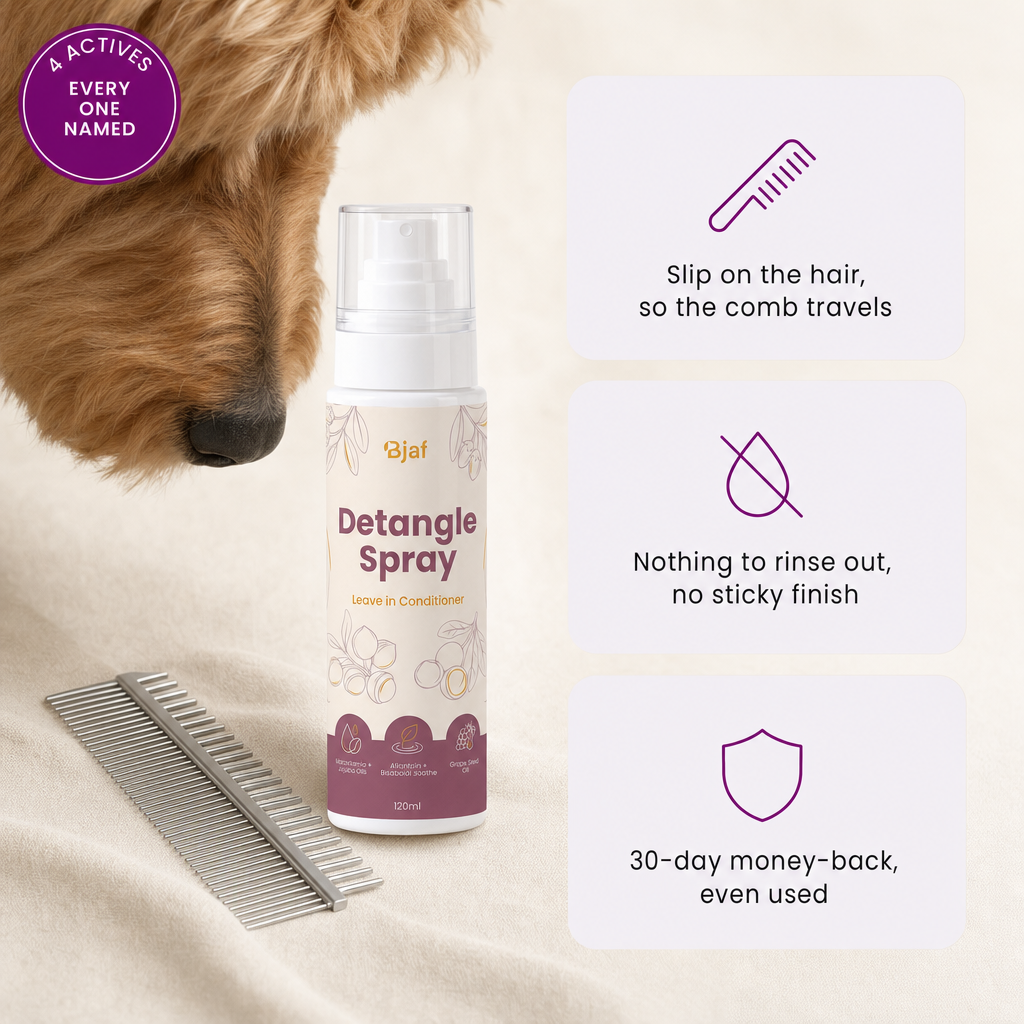 Bjaf Detangle Spray 120 ml leave-in conditioner. 4 actives, every one named. Slip on the hair so the comb travels, nothing to rinse out, 30-day money-back even used.