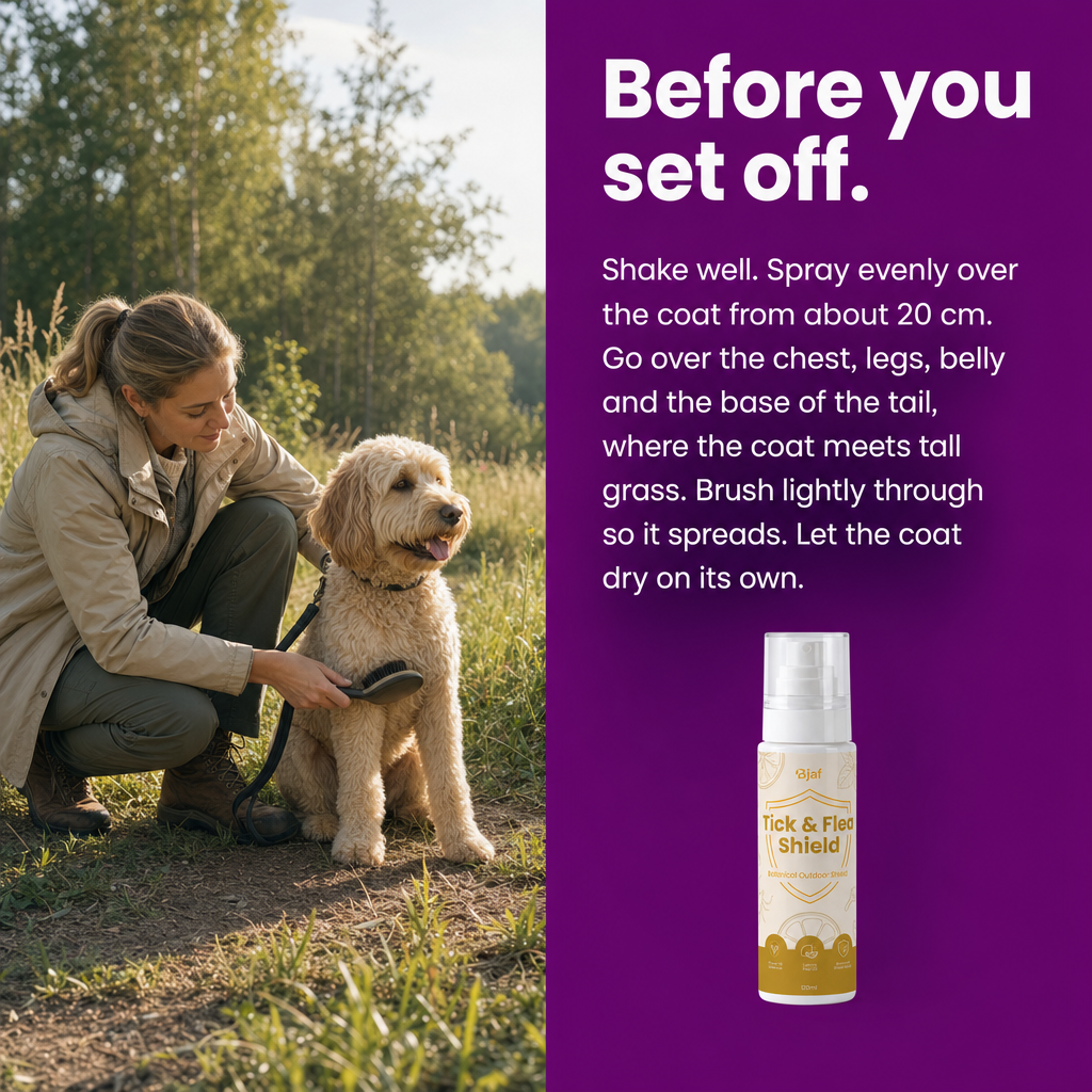 Before you set off. How to use Bjaf Tick & Flea Shield Spray: shake, spray from 20 cm over chest, legs, belly and tail base, brush through, let it dry.