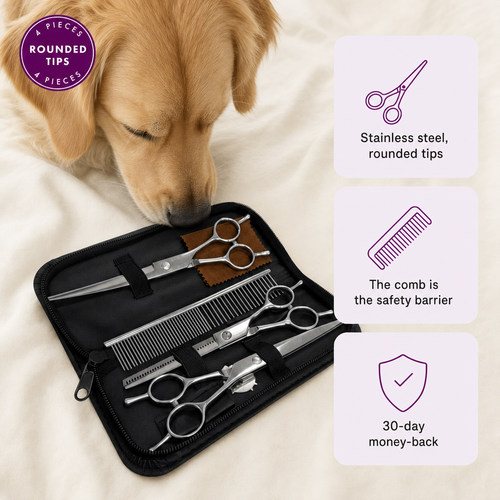 Beginner Dog Grooming Scissor Set