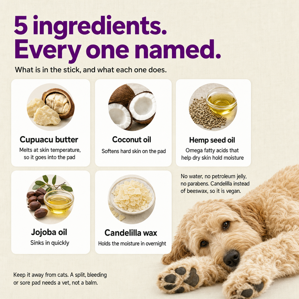 5 ingredients, every one named: cupuacu butter, coconut oil, hemp seed oil, jojoba oil, candelilla wax. Vegan, no water, no petroleum jelly.