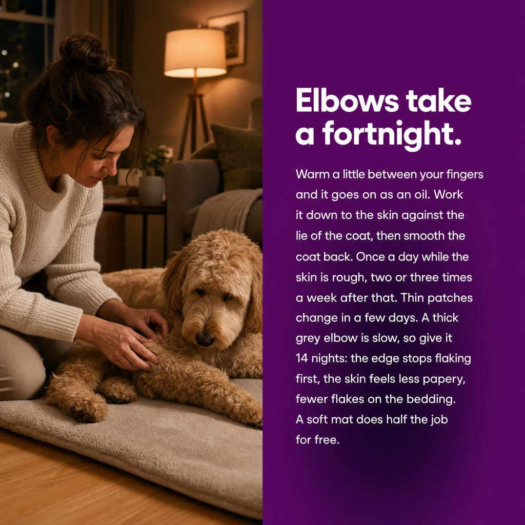 Elbows take a fortnight: warm a little between your fingers, work it down to the skin, once a day while rough, then two or three times a week.