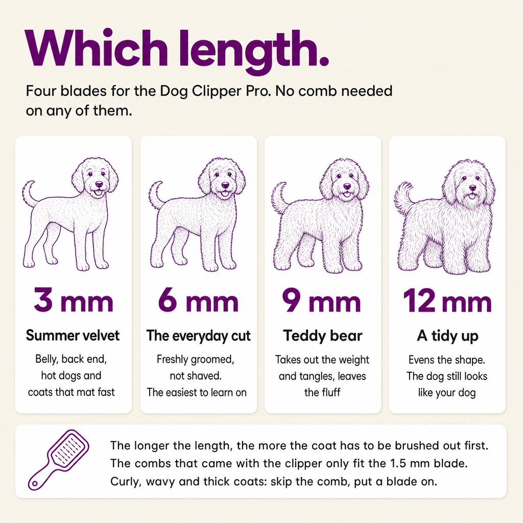 Which length: 3 mm summer velvet, 6 mm everyday cut, 9 mm teddy bear, 12 mm tidy up. No comb needed on any of them.