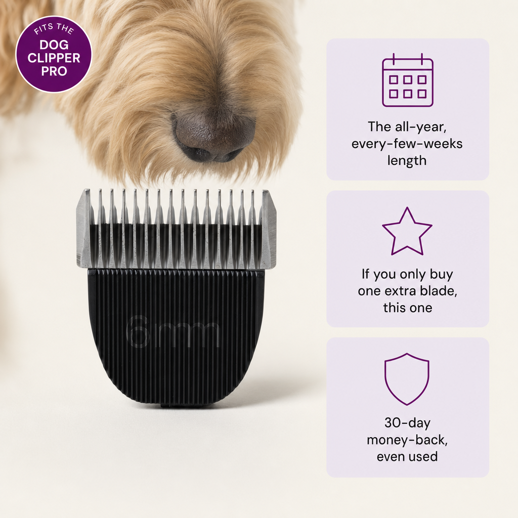 Bjaf 6 mm blade for the Dog Clipper Pro. The all-year, every-few-weeks length. If you only buy one extra blade, this one. 30-day money-back even used.