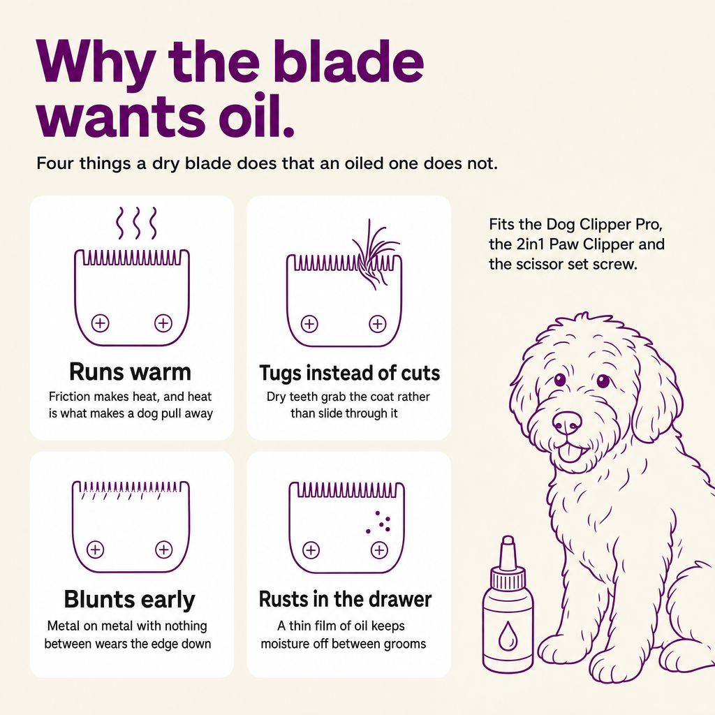 Why the blade wants oil: a dry blade runs warm, tugs instead of cuts, blunts early and rusts in the drawer.
