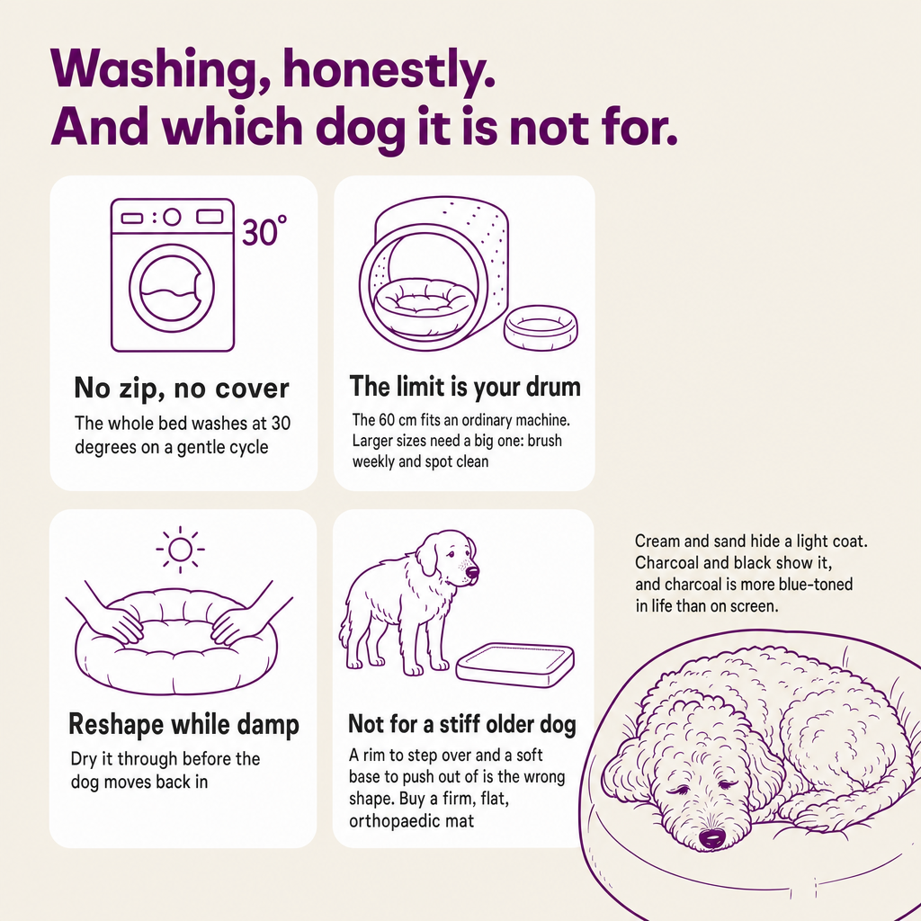 Washing, honestly: no zip, washes at 30 degrees, the limit is your drum, reshape while damp. Not for a stiff older dog.